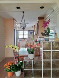 Blk 722 Khatib Spring (Yishun), HDB 4 Rooms #606267621